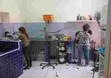 Pet Shop Zona Sul, para Quem Quer Investir em um Negócio Rentável e Apaixonante